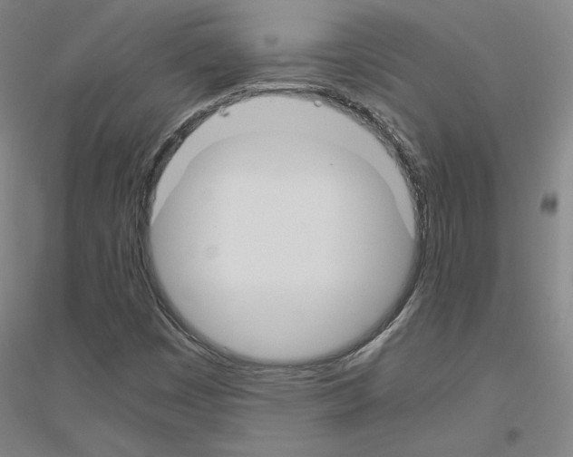 X0000116821449201001291612