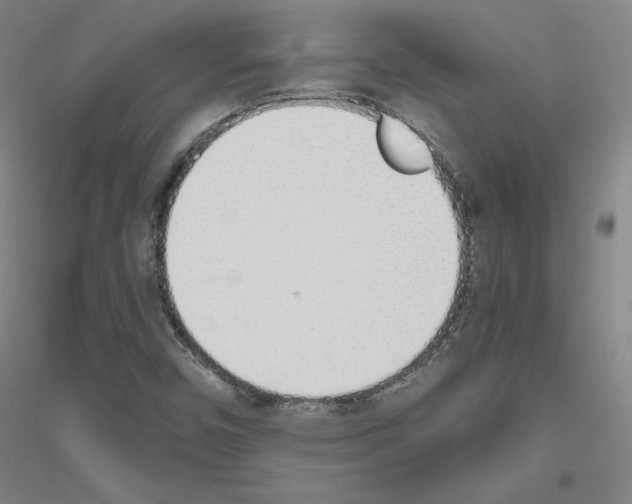 X0000116821450201001291612