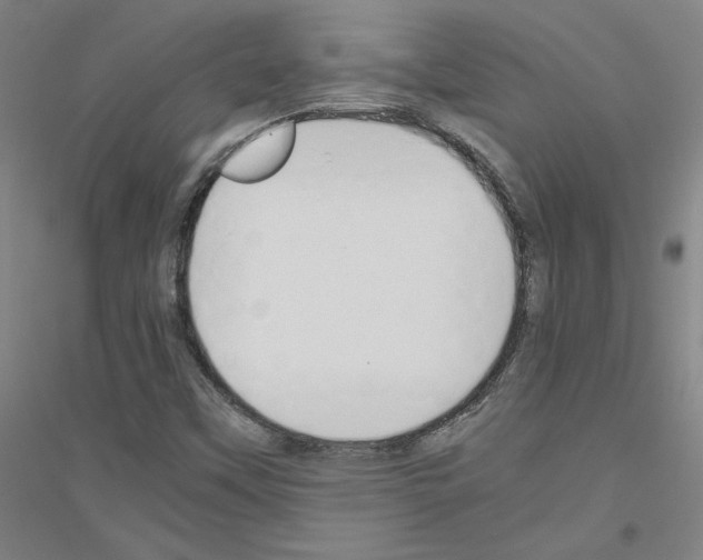 X0000116821451201001291612