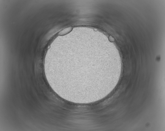 X0000116821453201001291612