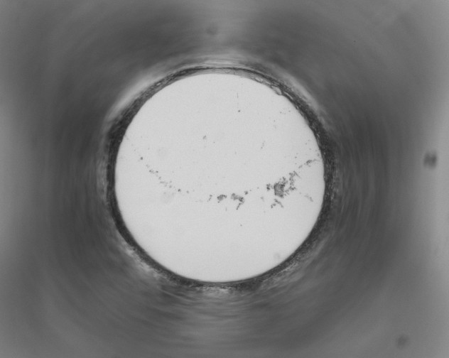 X0000116821456201001291612