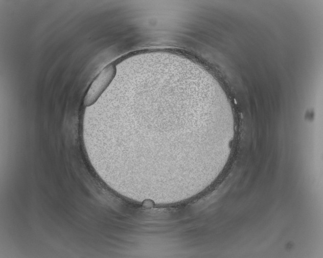 X0000116821457201001291612