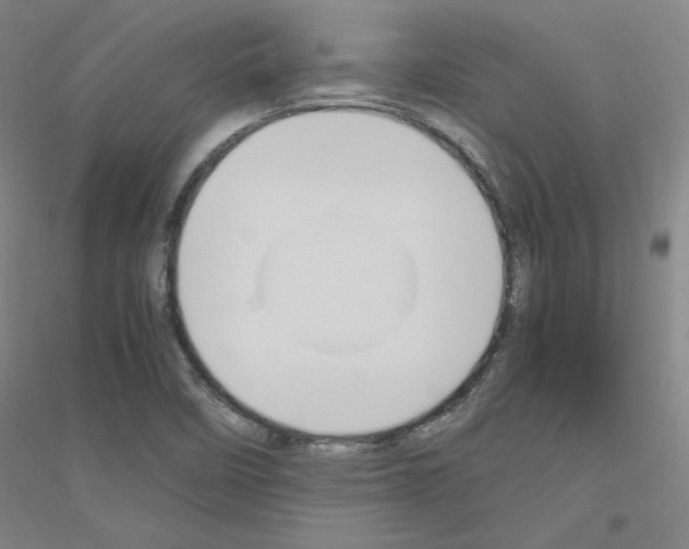 X0000116821458201001291612