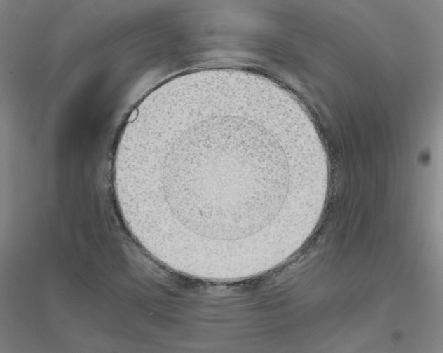 X0000116821459201001291612