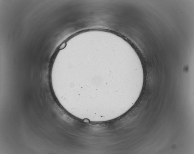 X0000116821460201001291612