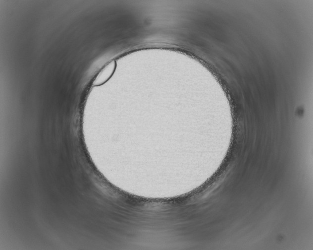 X0000116821461201001291612