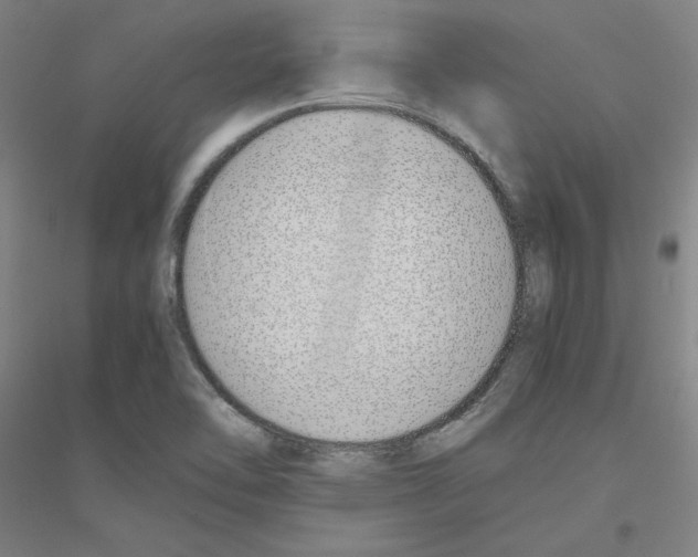 X0000116821462201001291612