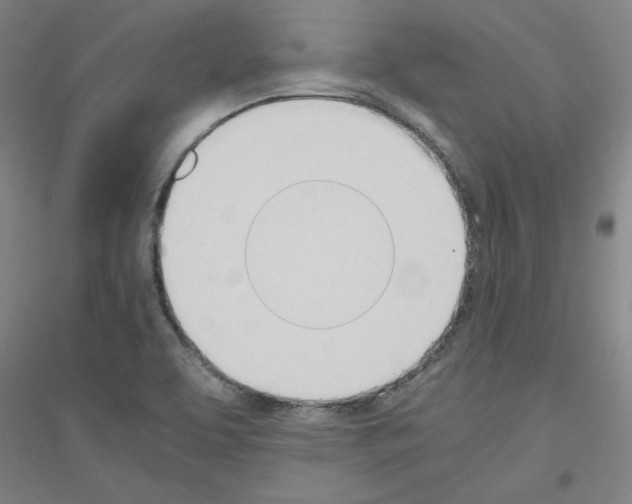 X0000116821463201001291612