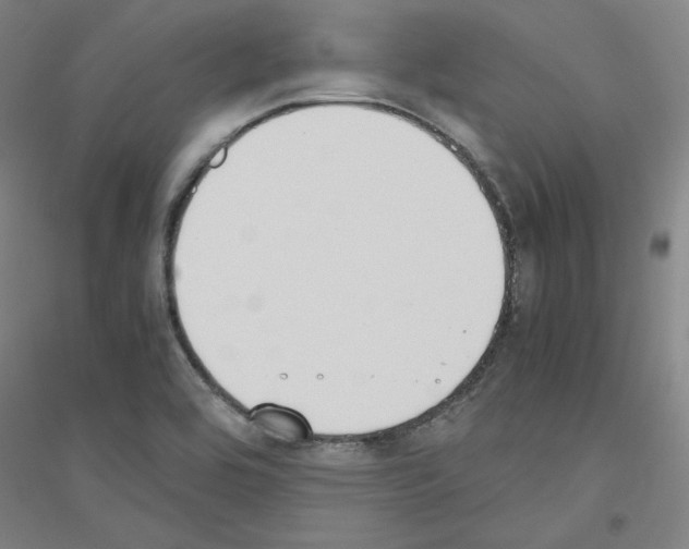 X0000116821464201001291612