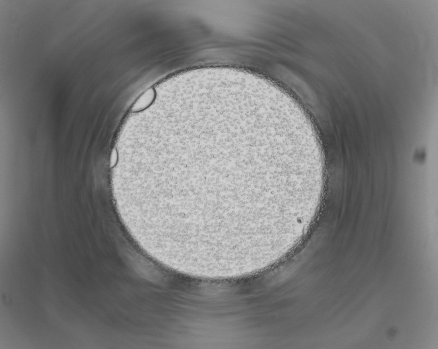 X0000116821465201001291612