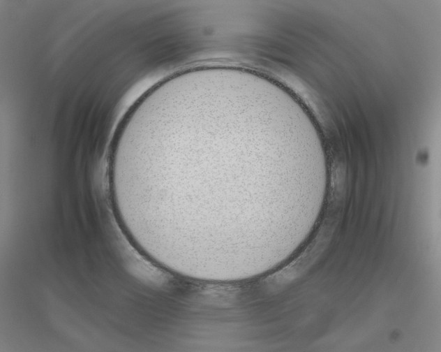 X0000116821466201001291612