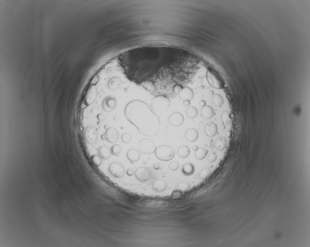 X0000116821467201001291612