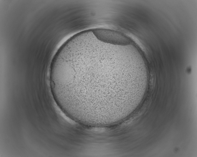 X0000116821468201001291612