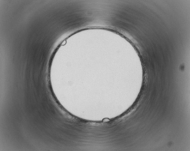 X0000116821469201001291612