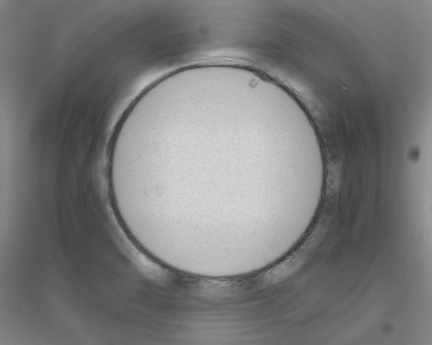 X0000116821470201001291612