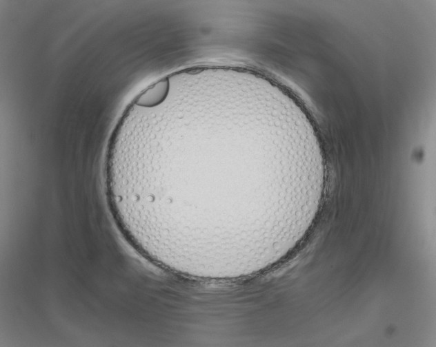 X0000116821471201001291612