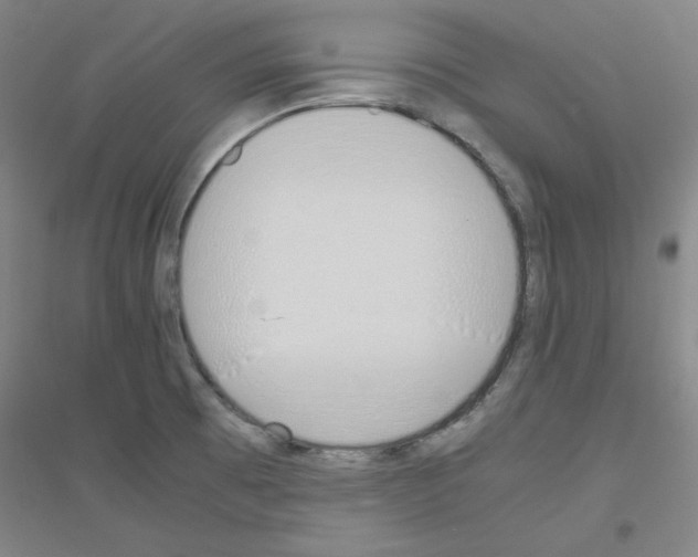 X0000116821473201001291612