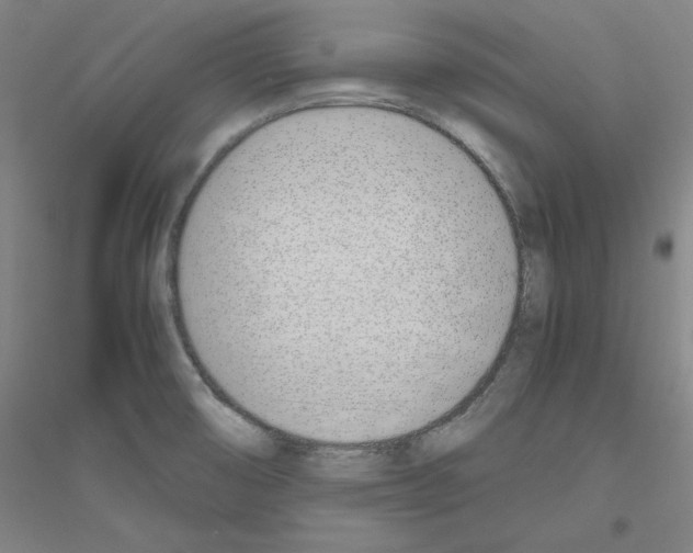 X0000116821474201001291612