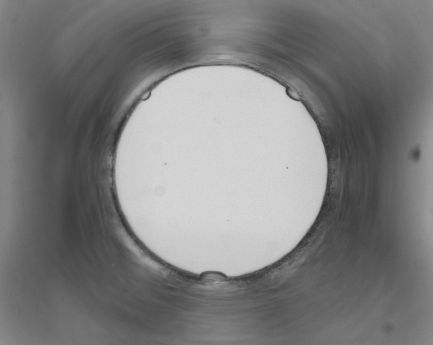 X0000116821476201001291612