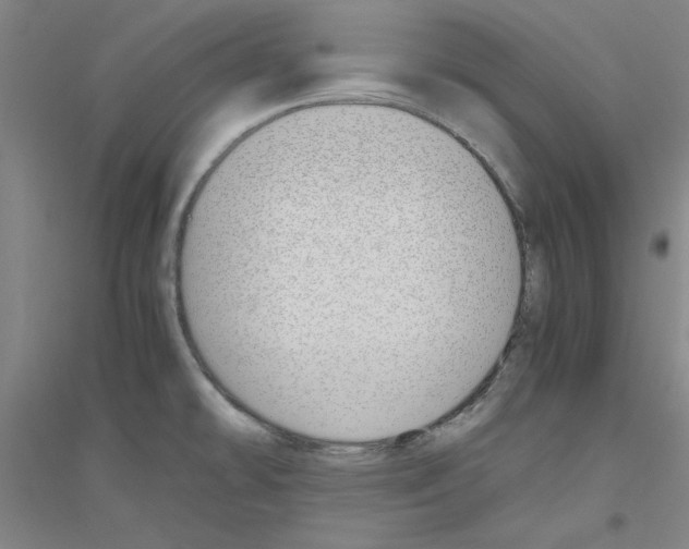 X0000116821478201001291612