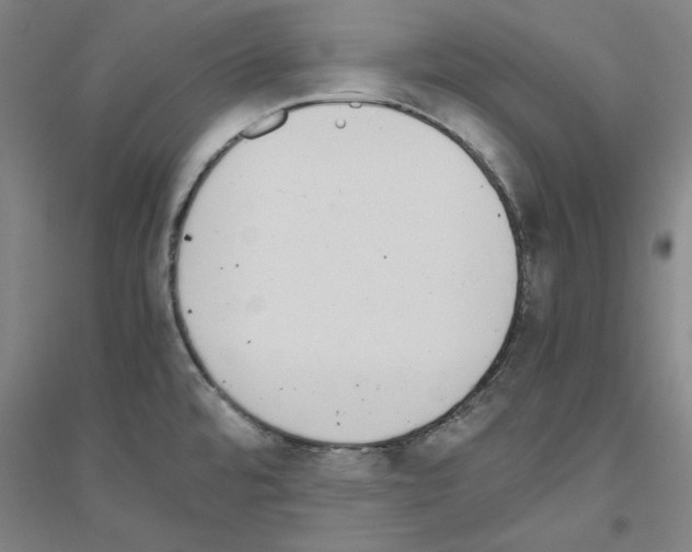 X0000116821480201001291612