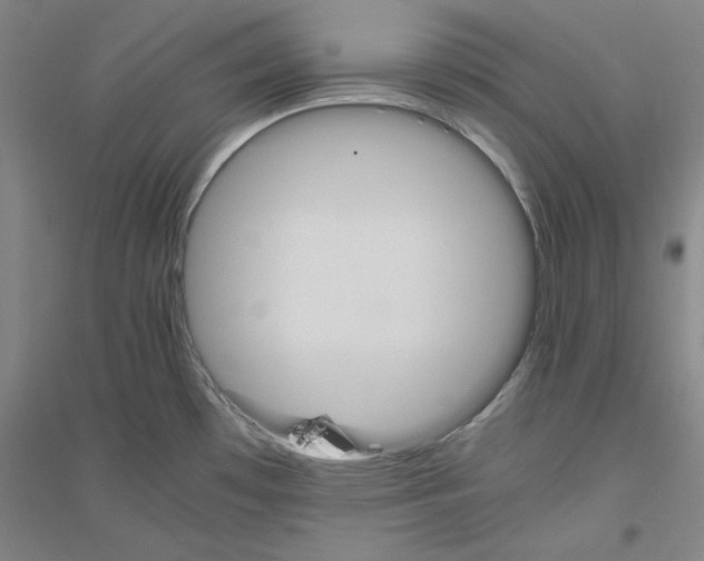 X0000116821481201001291612