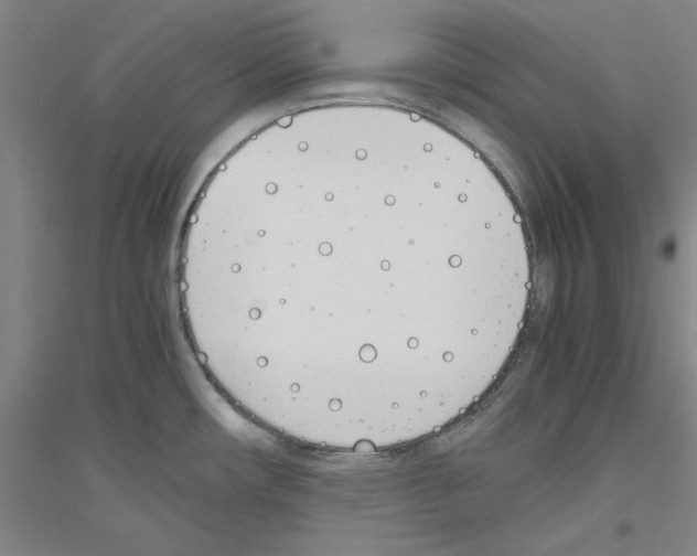 X0000116821482201001291612