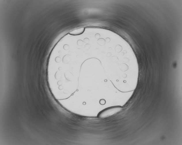 X0000116821483201001291612