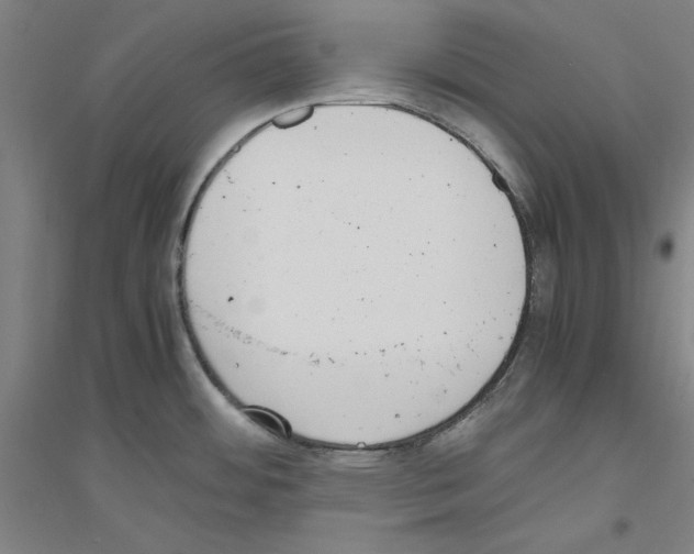 X0000116821484201001291612