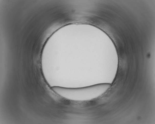 X0000116821485201001291612