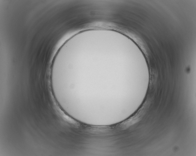 X0000116821486201001291612