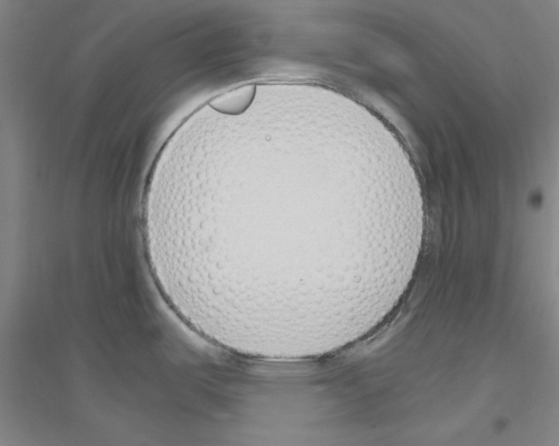 X0000116821487201001291612