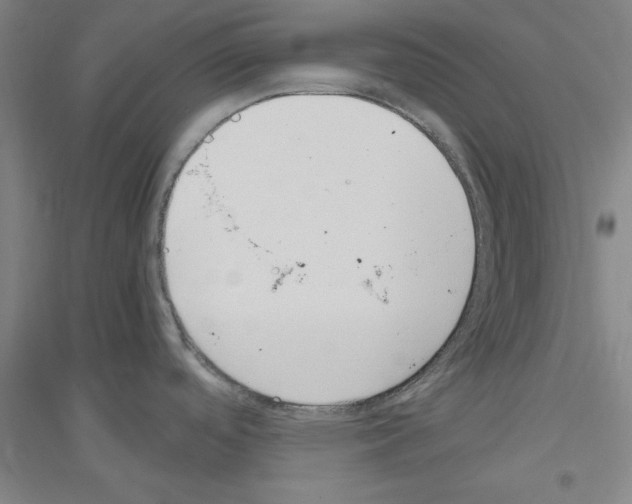 X0000116821488201001291612