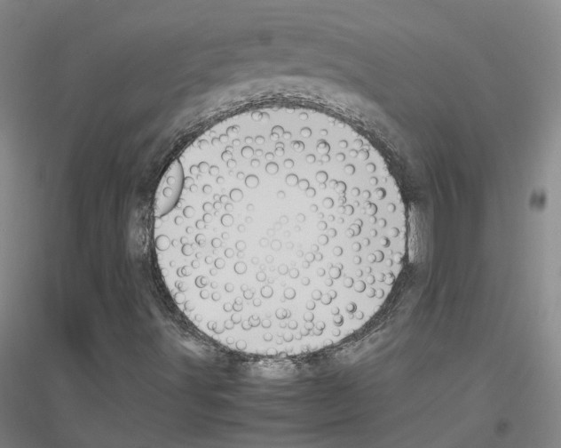 X0000116821491201001291611