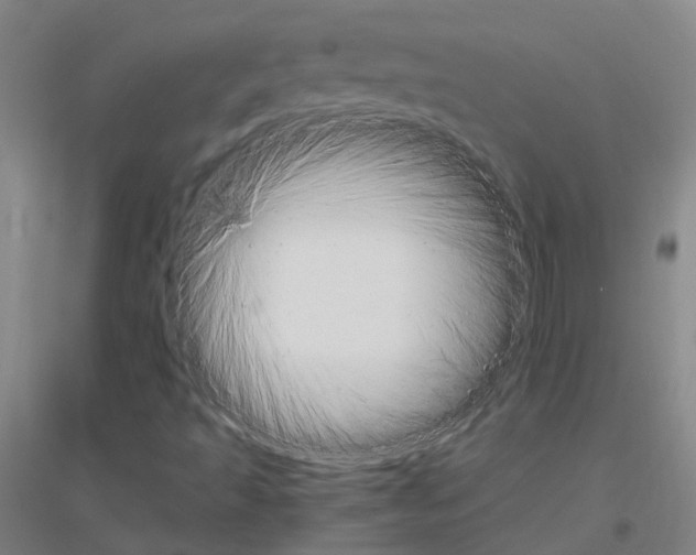 X0000116821493201001291611