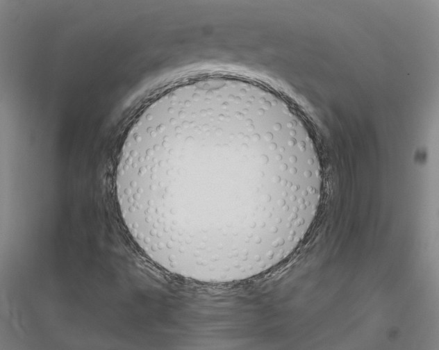 X0000116821495201001291611