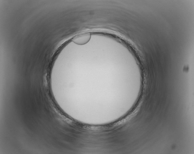 X0000116821497201001291611