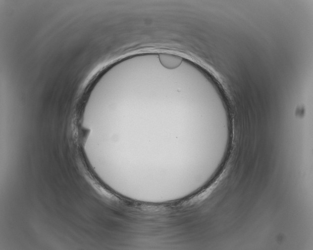 X0000116821498201001291611