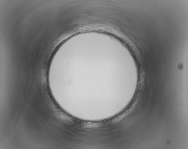 X0000116821505201001291611