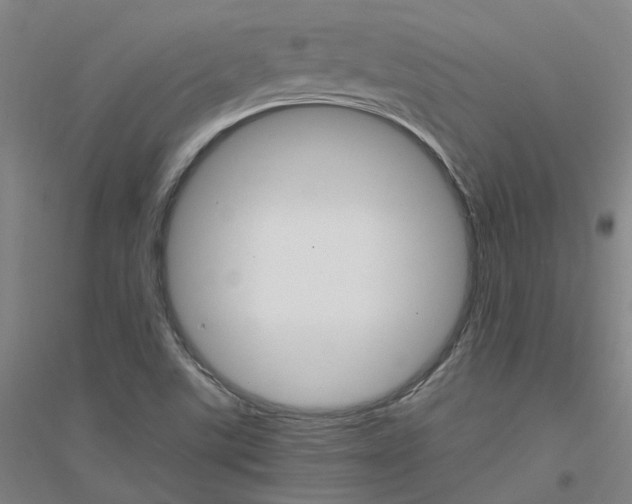 X0000116821507201001291611