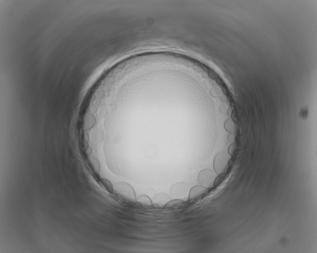 X0000116821509201001291611