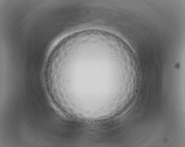 X0000116821511201001291611