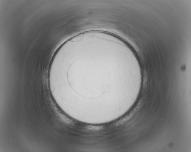 X0000116821513201001291611