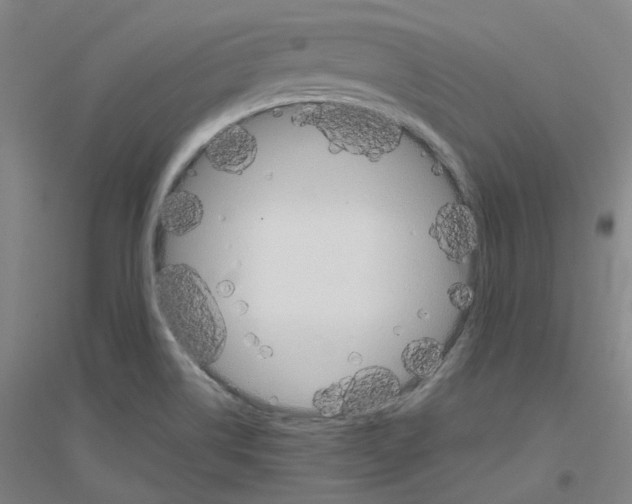 X0000116821514201001291611