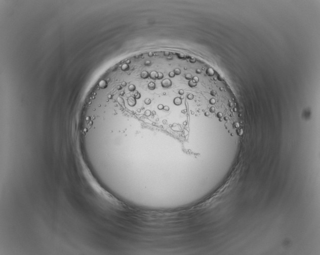 X0000116821515201001291611