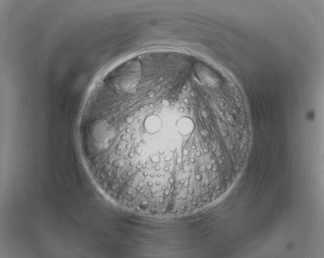 X0000116821517201001291611