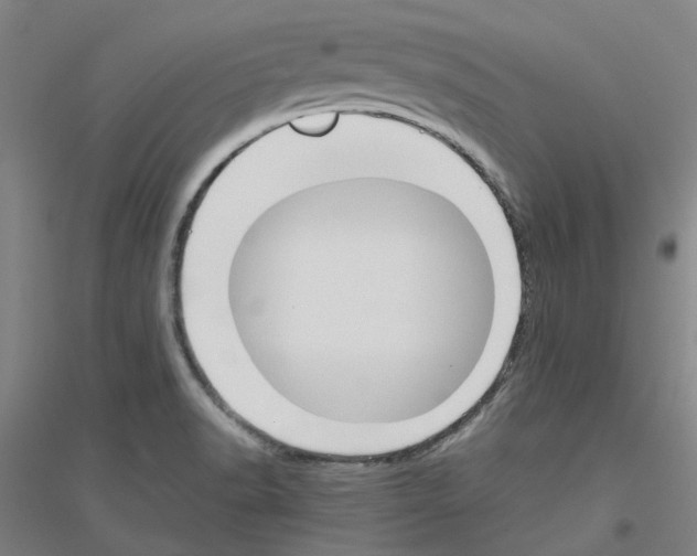 X0000116821518201001291611