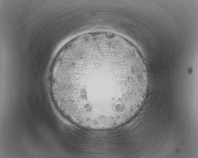 X0000116821519201001291611