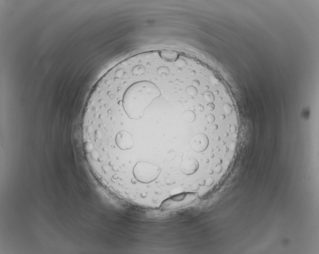 X0000116821521201001291611