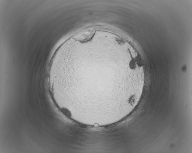 X0000116821522201001291611